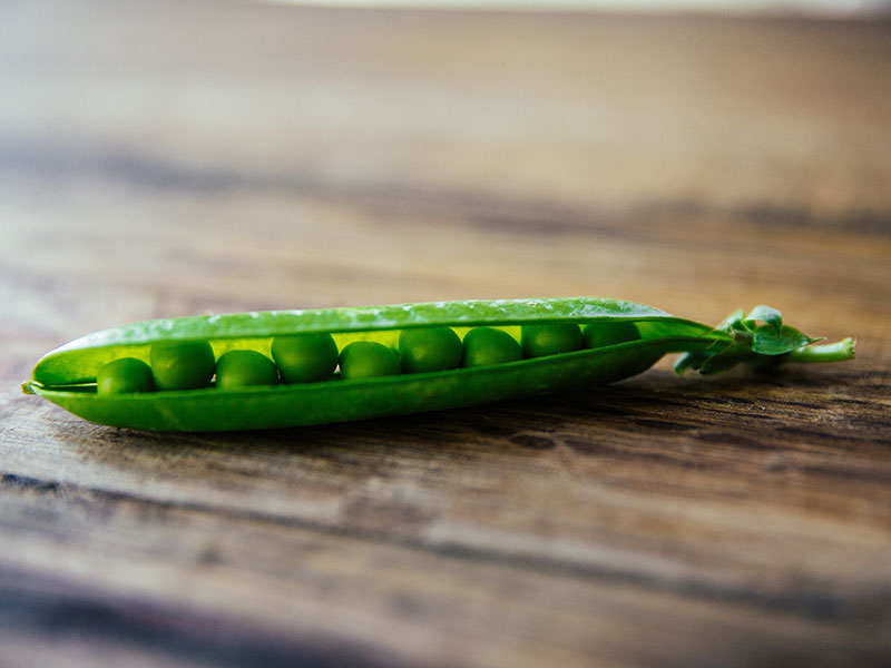 peas_800x600px